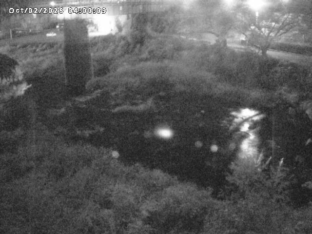 日野川１０2026/10/02 15:50:00