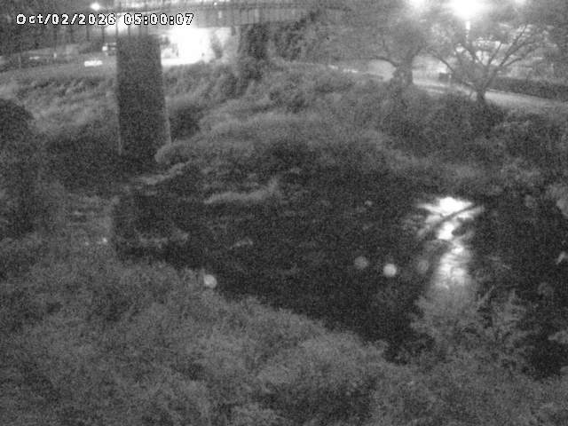 日野川１０2026/10/02 15:50:00
