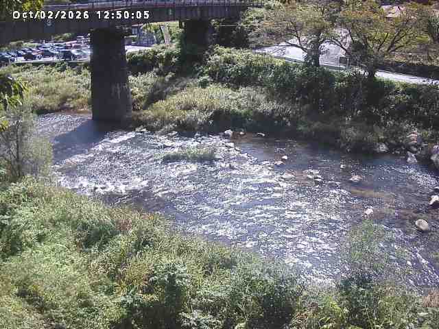日野川１０2026/10/02 15:50:00