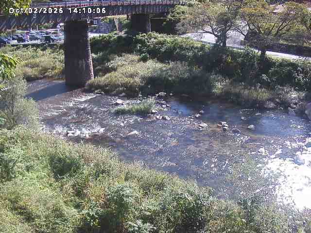 日野川１０2026/10/02 15:50:00