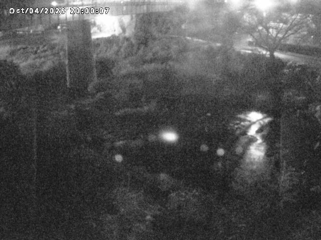 日野川１０2026/10/05 20:10:00