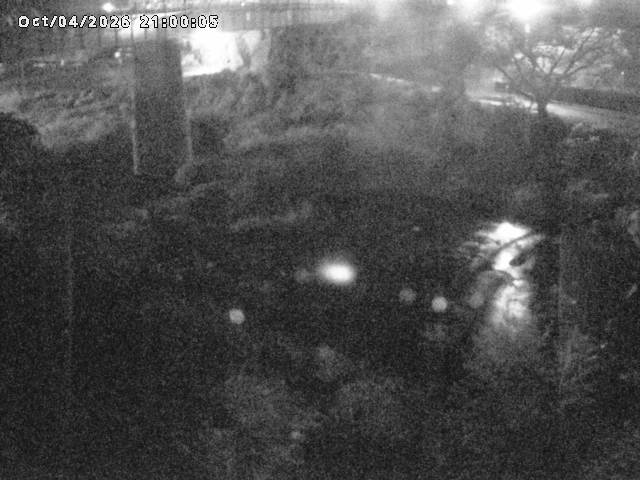 日野川１０2026/10/05 20:10:00
