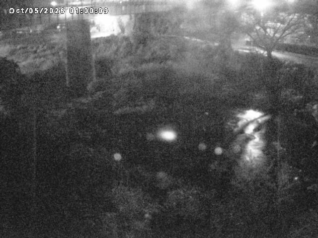 日野川１０2026/10/05 20:10:00