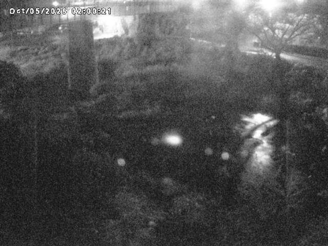日野川１０2026/10/05 20:10:00