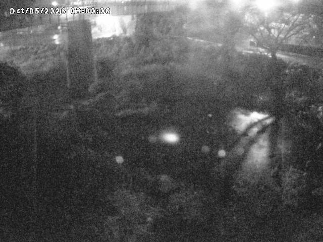 日野川１０2026/10/05 20:10:00