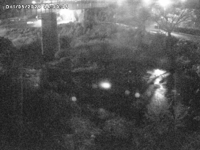 日野川１０2026/10/05 20:10:00