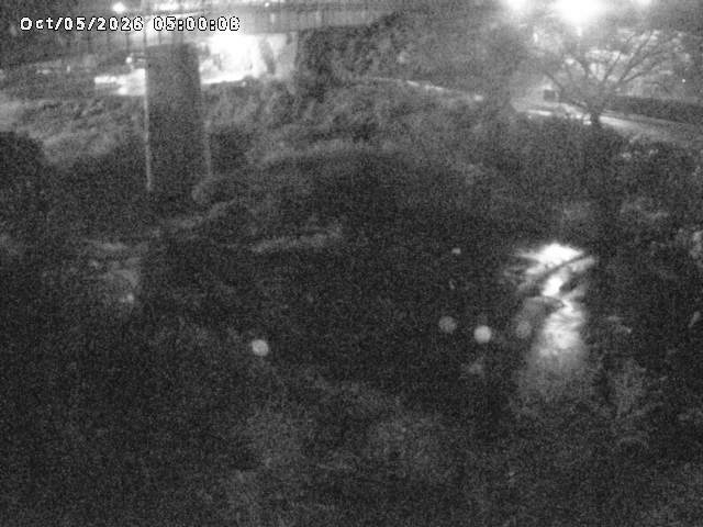 日野川１０2026/10/05 20:10:00