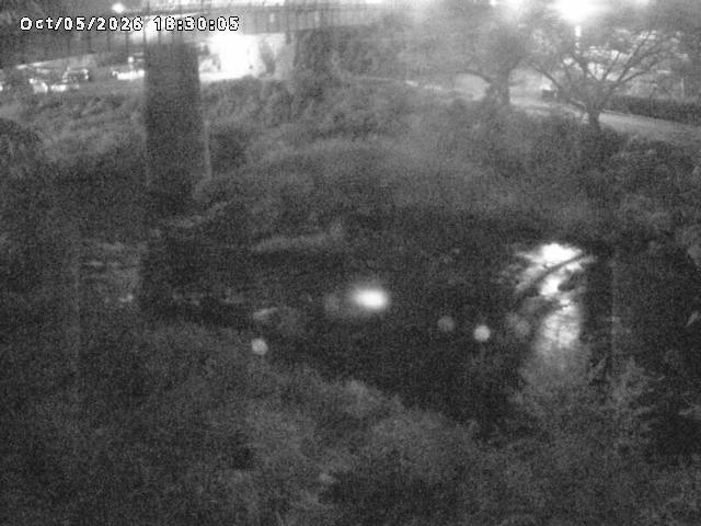 日野川１０2026/10/05 20:10:00