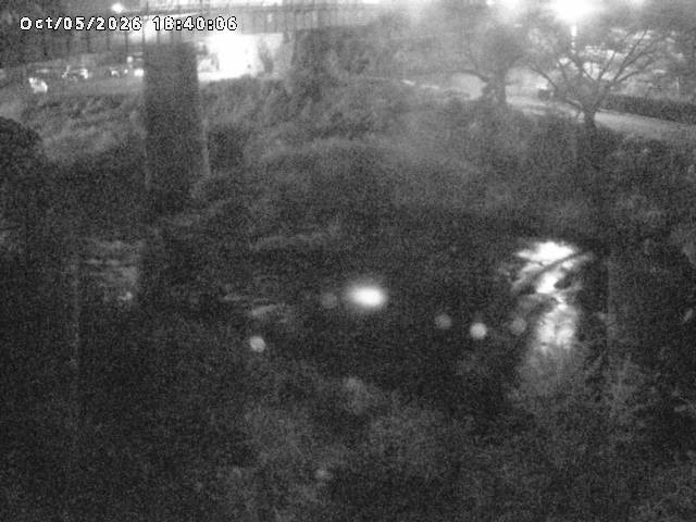 日野川１０2026/10/05 20:10:00