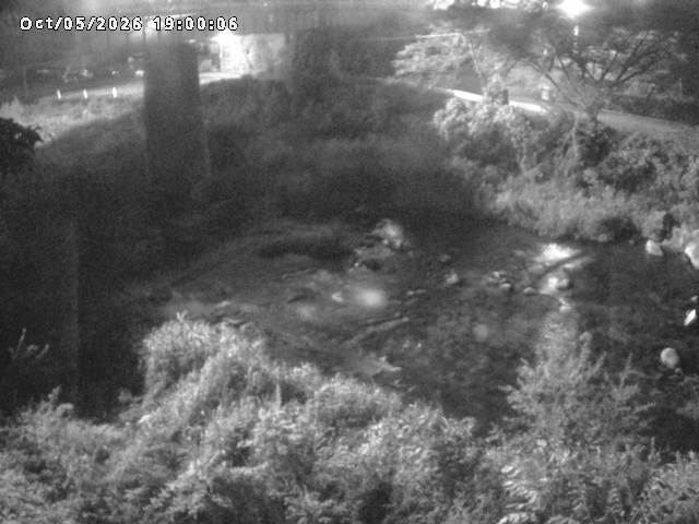 日野川１０2026/10/05 20:10:00