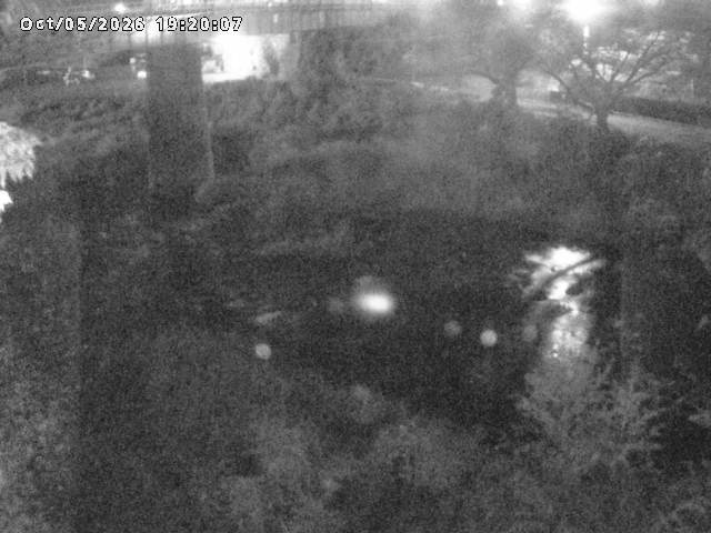 日野川１０2026/10/05 20:10:00