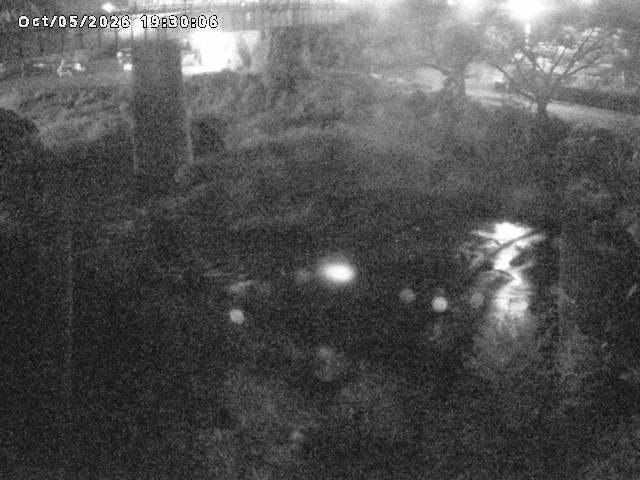 日野川１０2026/10/05 20:10:00