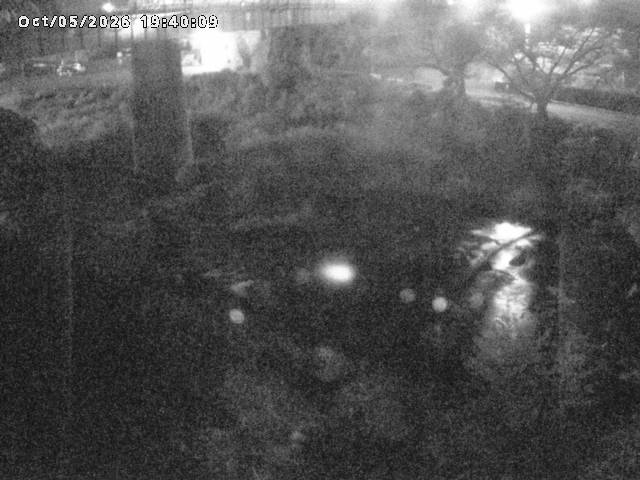 日野川１０2026/10/05 20:10:00