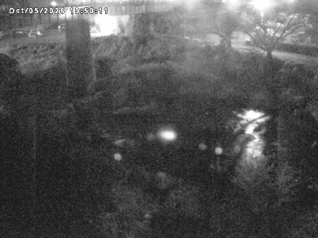 日野川１０2026/10/05 20:10:00