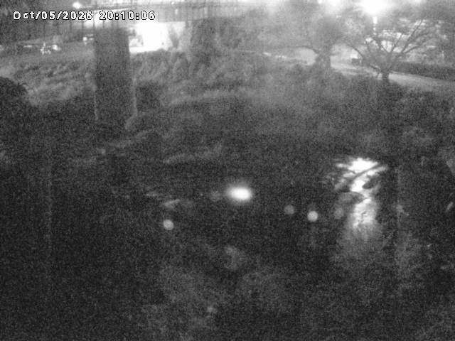 日野川１０2026/10/05 20:10:00