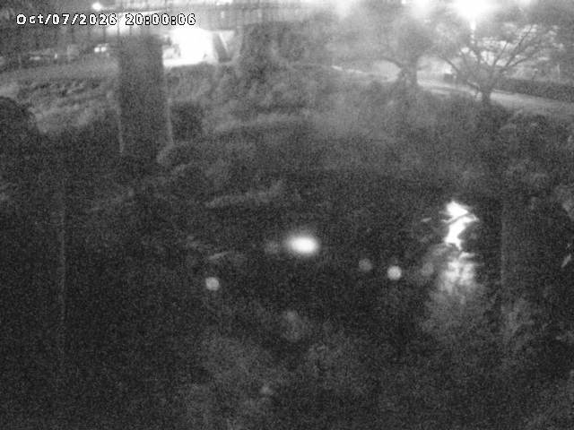 日野川１０2026/10/08 20:30:00