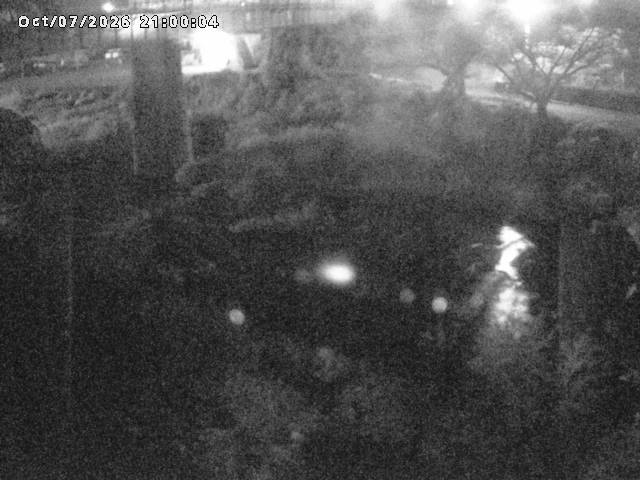 日野川１０2026/10/08 20:30:00
