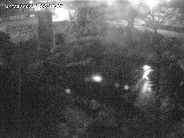 日野川１０2026/10/08 20:30:00
