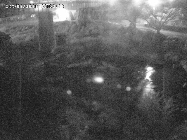 日野川１０2026/10/08 20:30:00