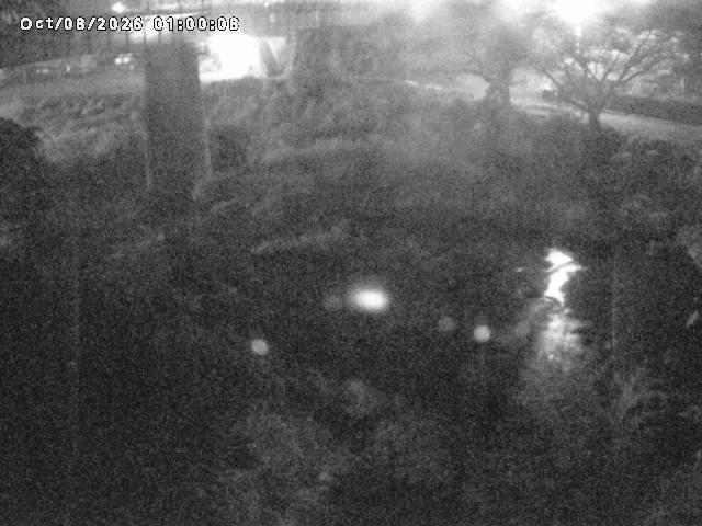 日野川１０2026/10/08 20:30:00