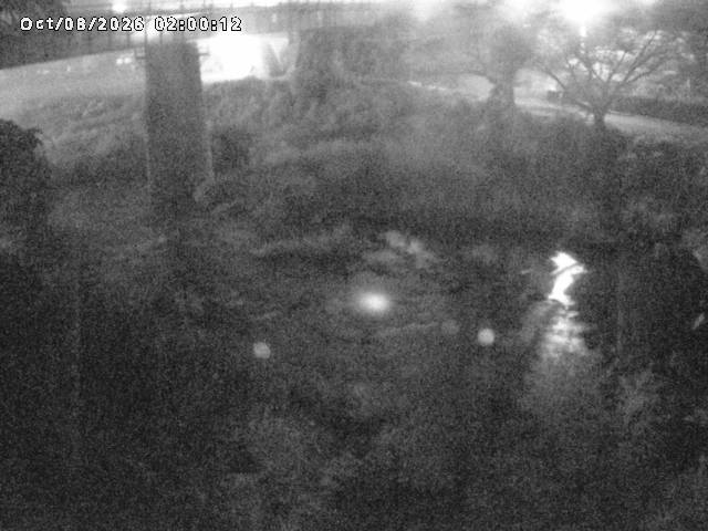 日野川１０2026/10/08 20:30:00
