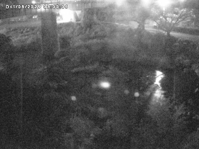 日野川１０2026/10/08 20:30:00
