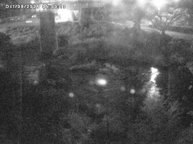 日野川１０2026/10/08 20:30:00