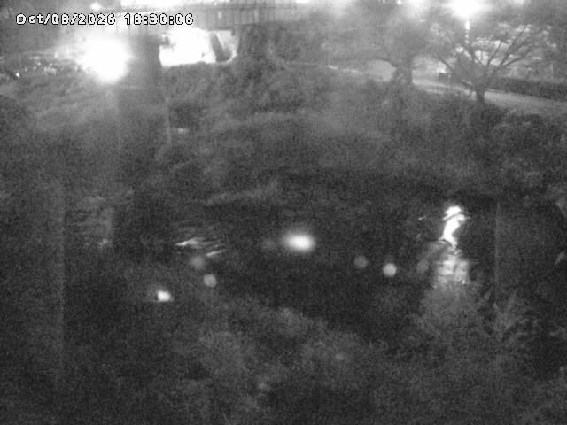 日野川１０2026/10/08 20:30:00