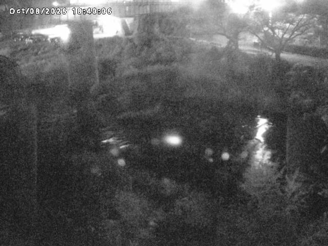 日野川１０2026/10/08 20:30:00
