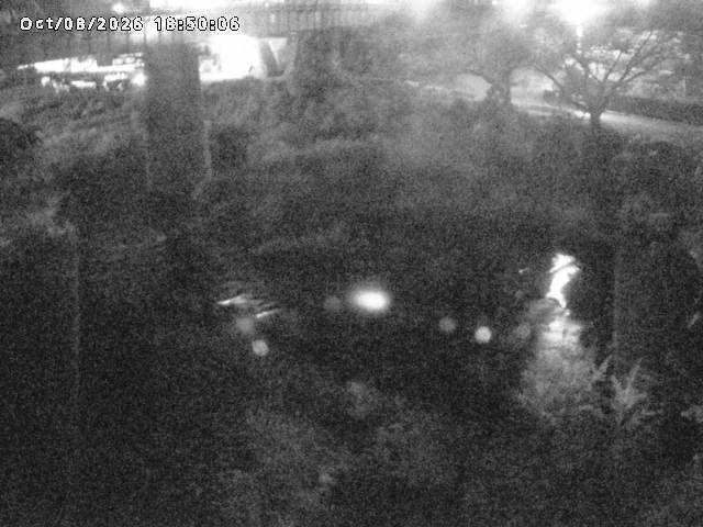 日野川１０2026/10/08 20:30:00