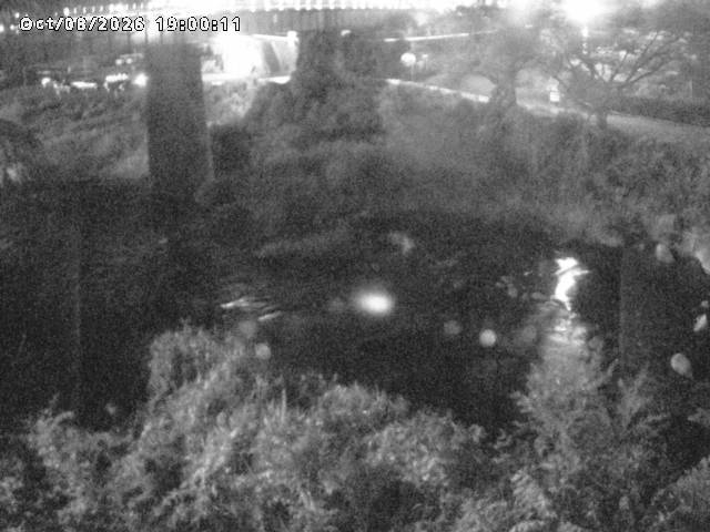 日野川１０2026/10/08 20:30:00