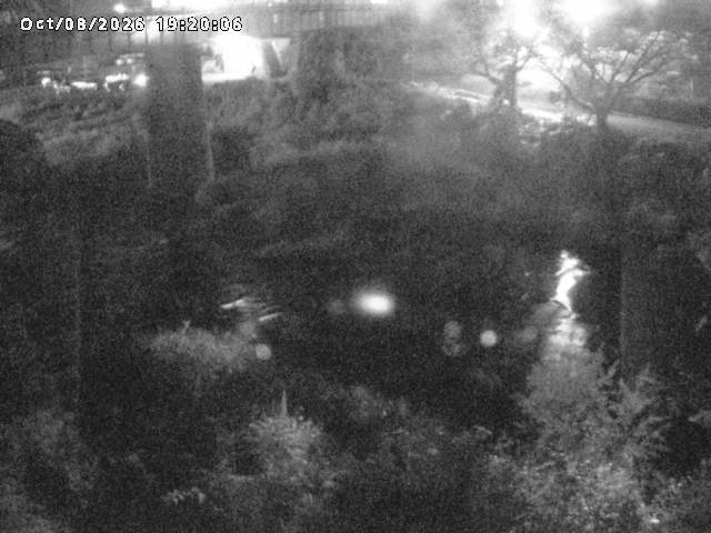 日野川１０2026/10/08 20:30:00