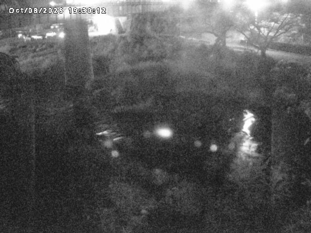 日野川１０2026/10/08 20:30:00
