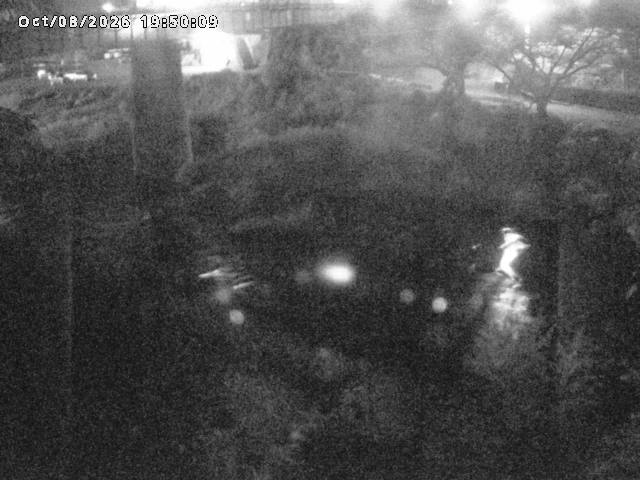 日野川１０2026/10/08 20:30:00