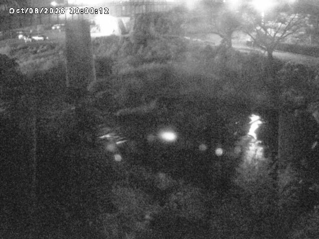 日野川１０2026/10/08 20:30:00