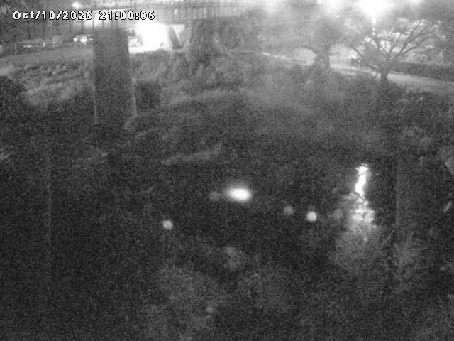 日野川１０2026/10/11 21:10:00