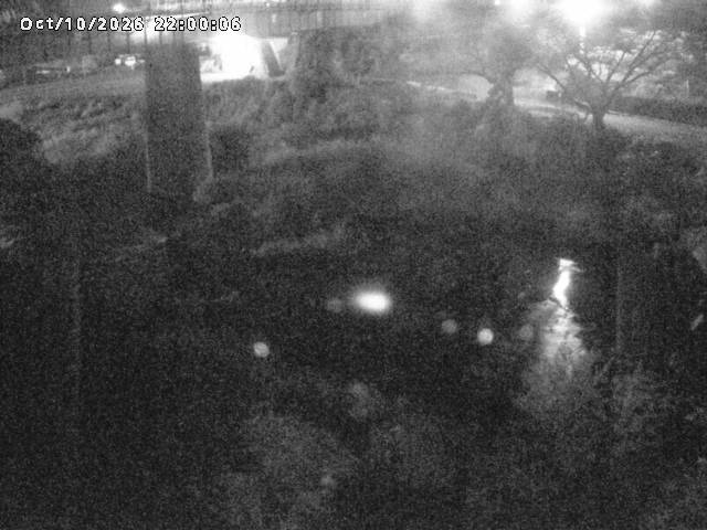 日野川１０2026/10/11 21:10:00