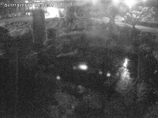 日野川１０2026/10/11 21:10:00