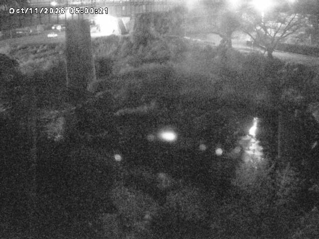 日野川１０2026/10/11 21:10:00