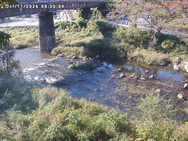 日野川１０2026/10/11 21:10:00