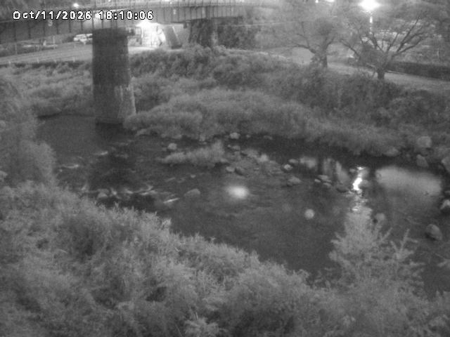日野川１０2026/10/11 21:10:00