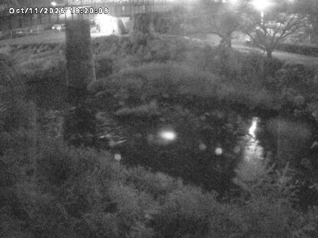 日野川１０2026/10/11 21:10:00