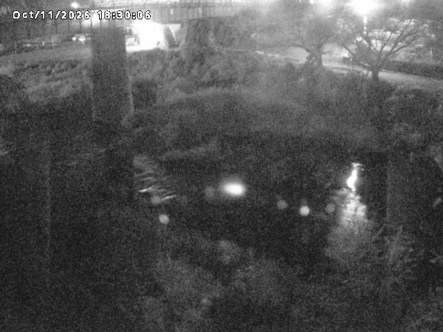 日野川１０2026/10/11 21:10:00