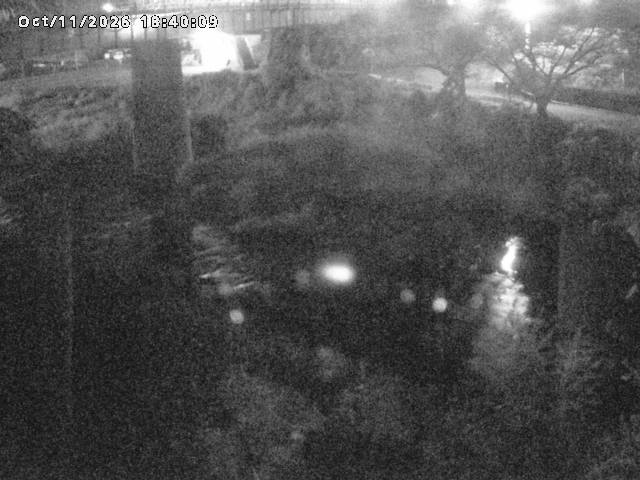 日野川１０2026/10/11 21:10:00