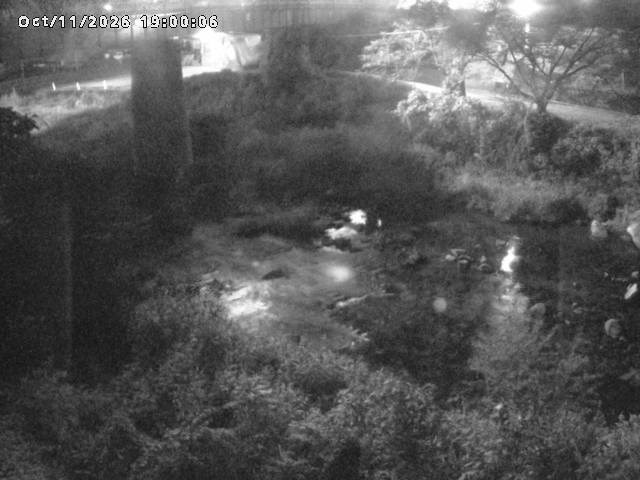 日野川１０2026/10/11 21:10:00