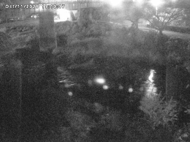 日野川１０2026/10/11 21:10:00