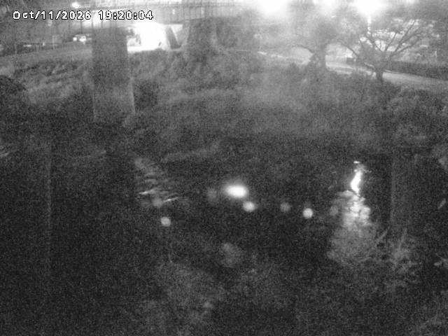日野川１０2026/10/11 21:10:00