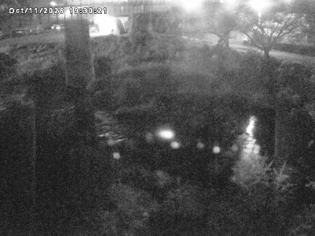 日野川１０2026/10/11 21:10:00