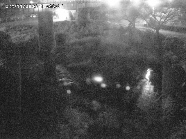 日野川１０2026/10/11 21:10:00