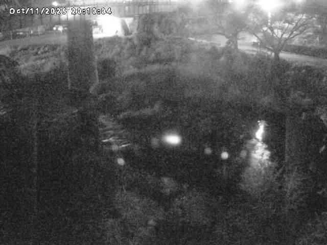日野川１０2026/10/11 21:10:00